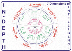 In Depth Wheel - 7 Dimensions